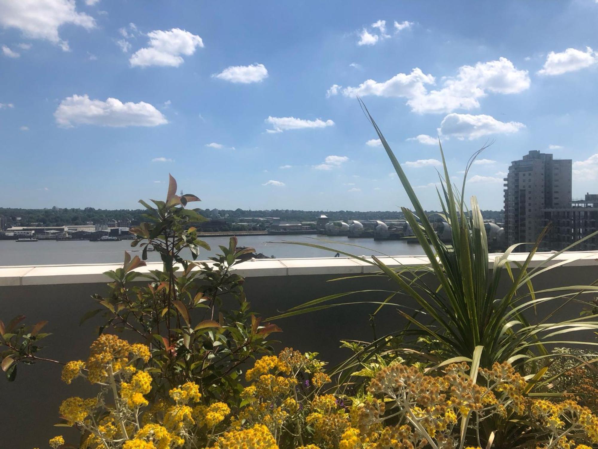 Luxury Double Featuring Comfortable Sofa Bed To Sleep On, Private Balcony, And Exclusive Access To Rooftop And Garden In Welcoming Shared Flat With Host *